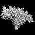 Bouquet Blooming Branch Spring Flowers in a Glass Vase - Thumbnail 5