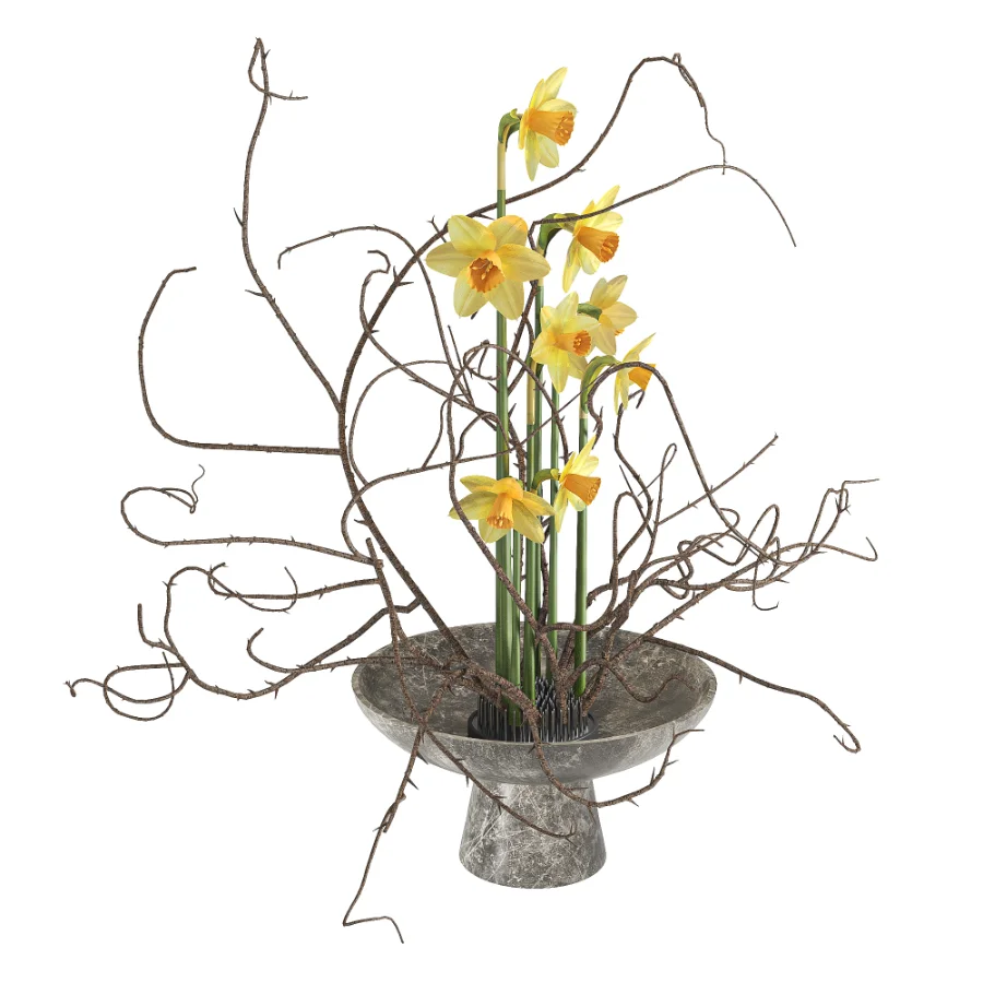 Daffodils Dry Twisted Branch Bouquet Image 2