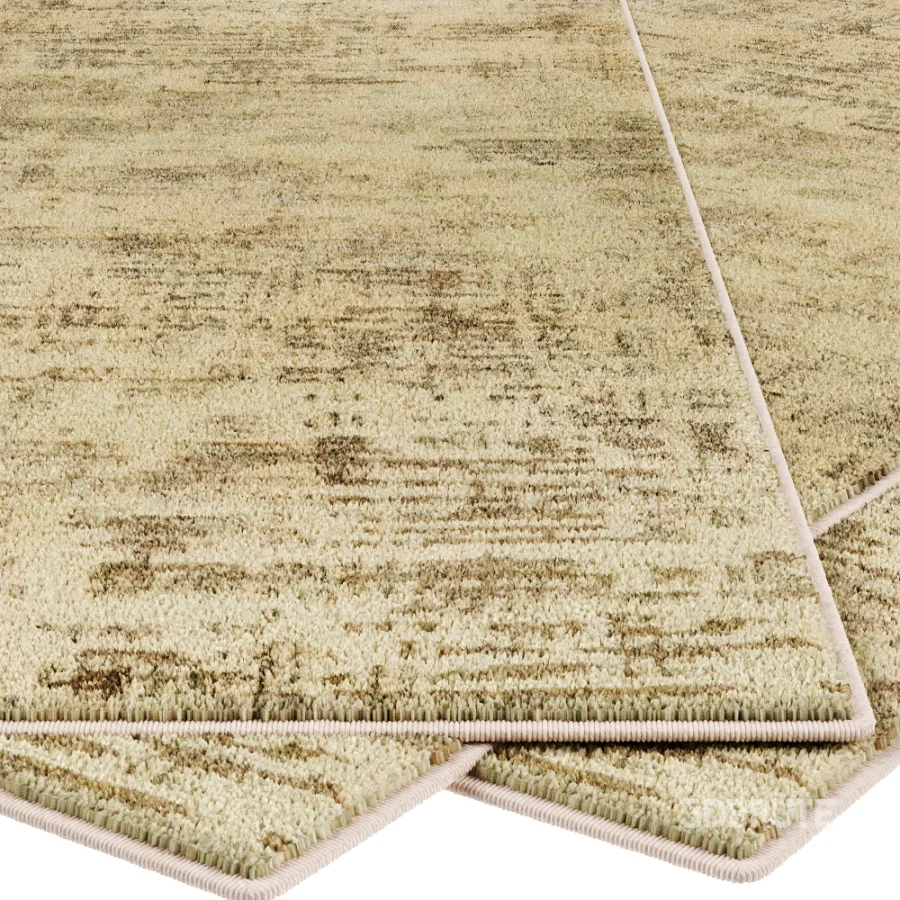 Carpet Image 5