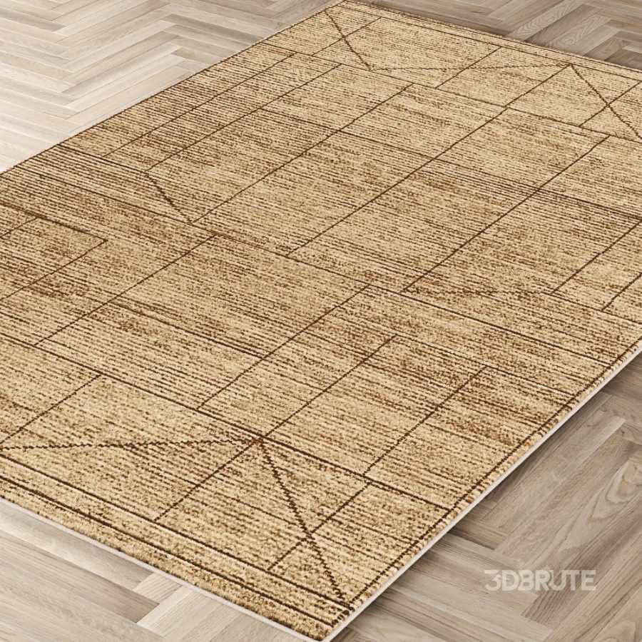 Carpet Image 3