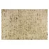 Carpet - Thumbnail 2
