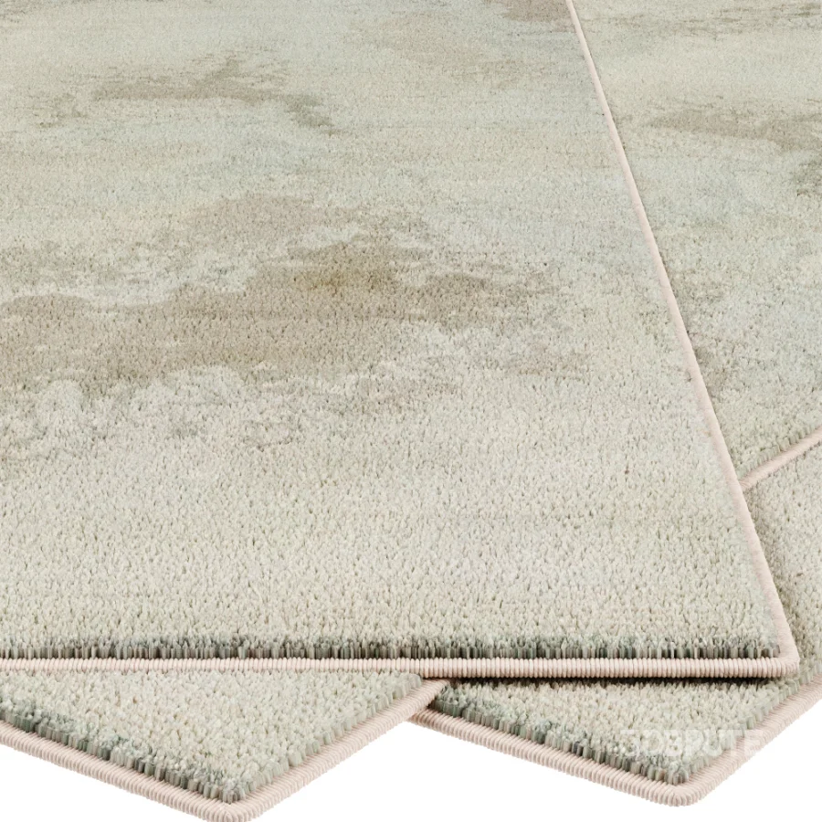 Carpet Image 2