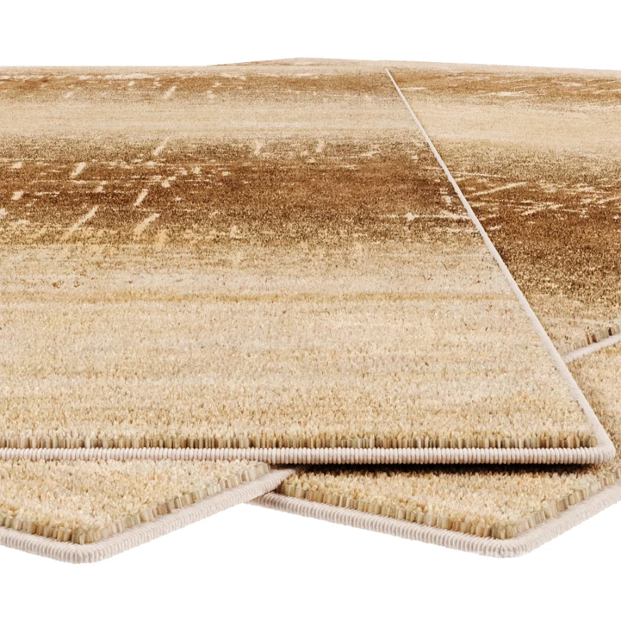 Carpet Image 3