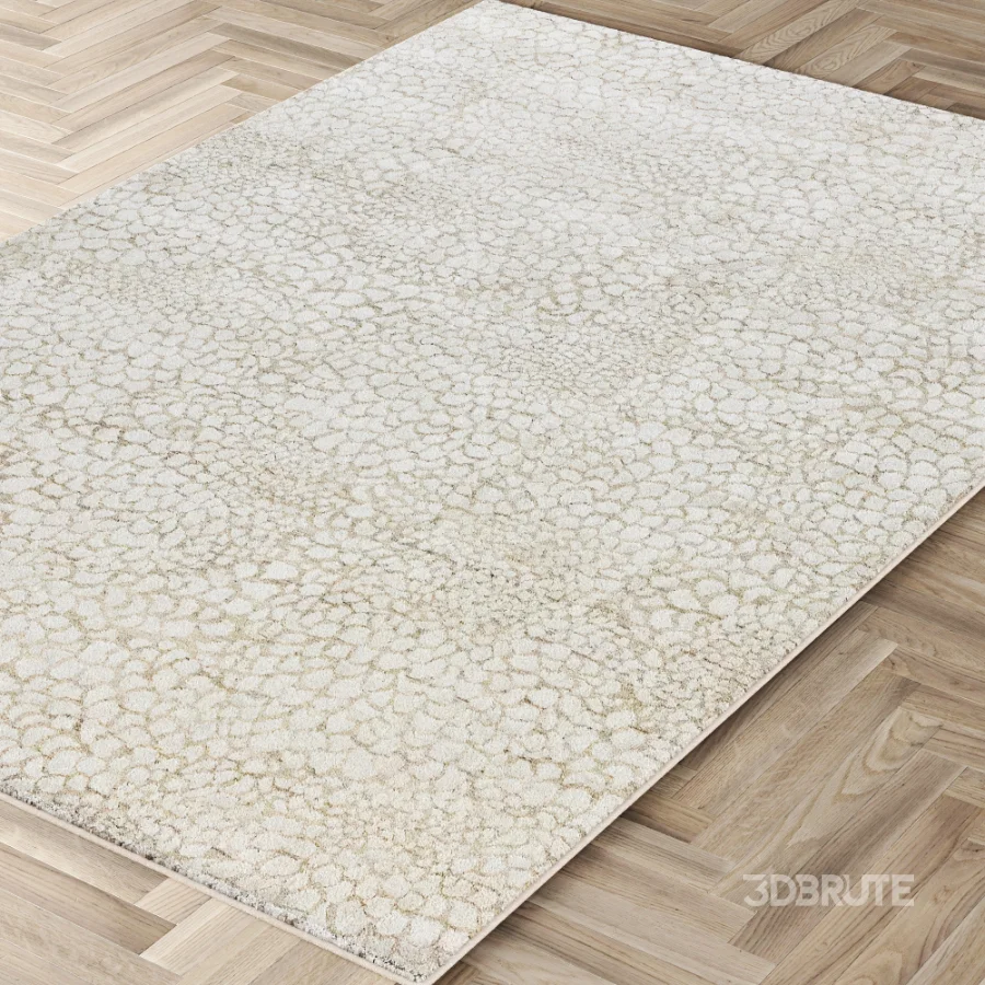 Carpet Image 4