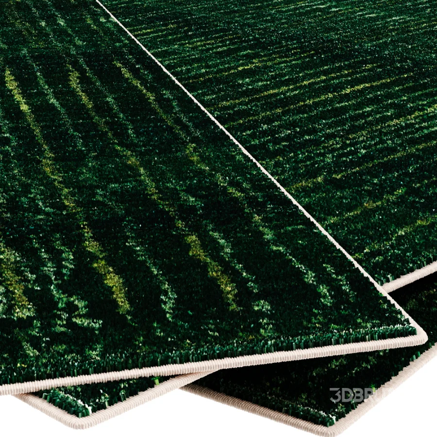 Carpet Image 5