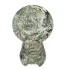 Ciccio Side Table by CB2 - Thumbnail 6