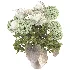 Flower in Vase - Thumbnail 2
