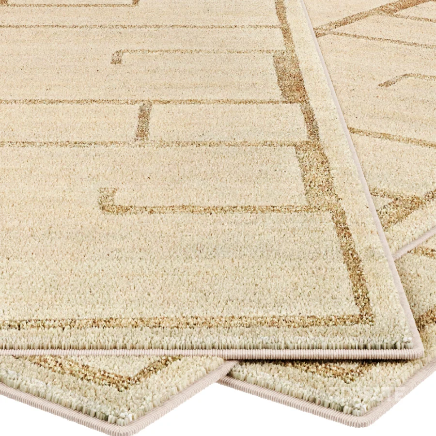 Carpet Image 5