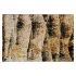 Carpet - Thumbnail 3