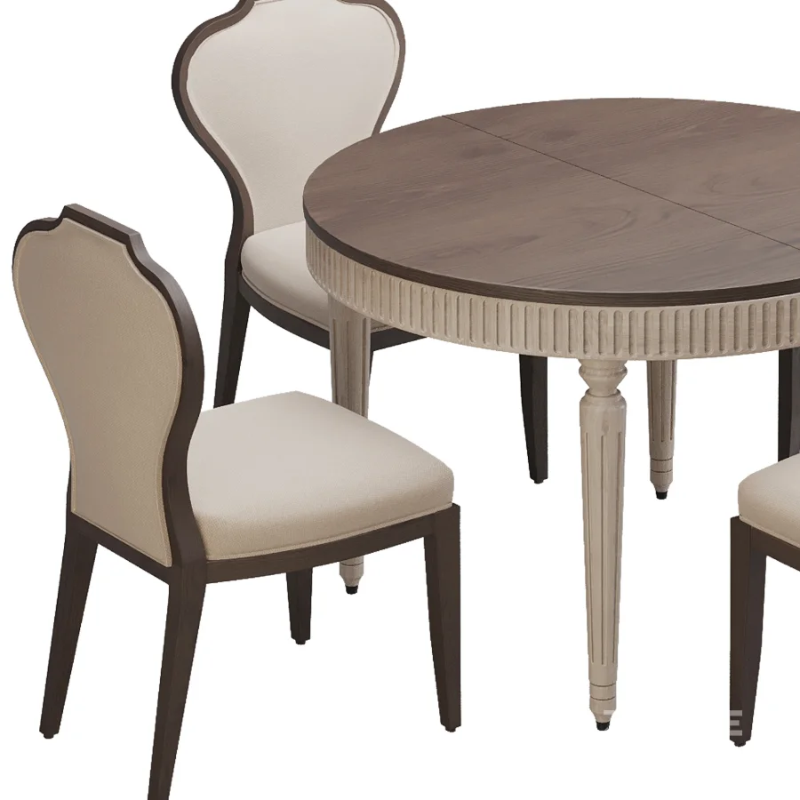 Dinning chair and table371 Image 2