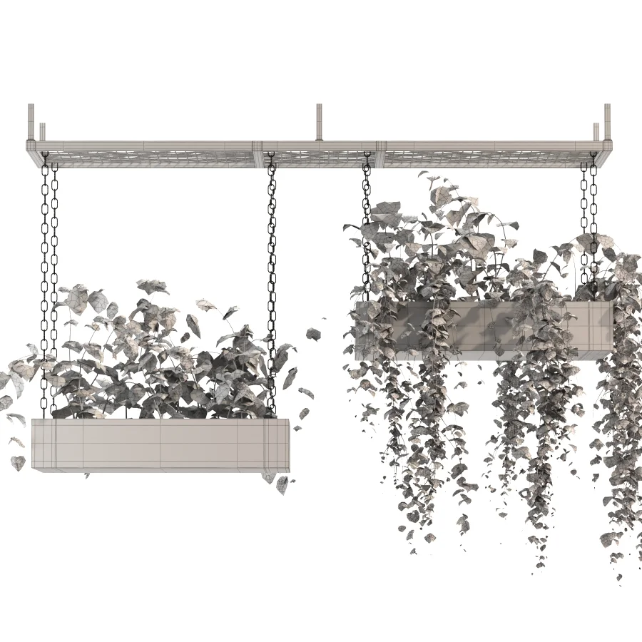 Hanging Plant 03 Image 1
