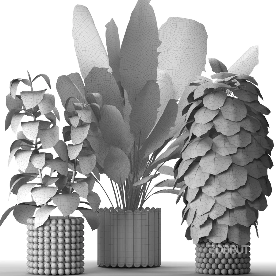 Boho Pot Plants 03 Image 1