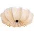Floralis Ceiling Light - Thumbnail 3
