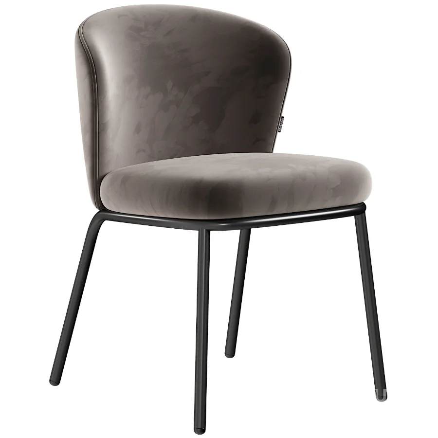 Campo Dining Chair Image 2