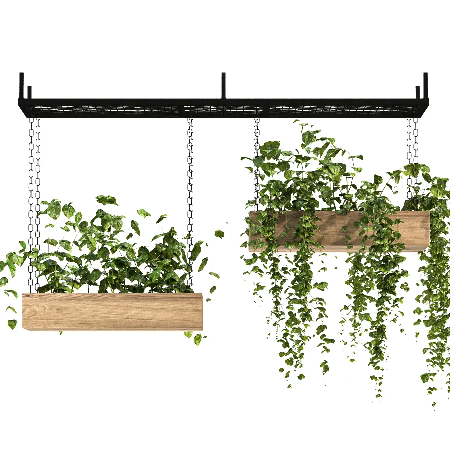 Hanging Plant 03 Image 4
