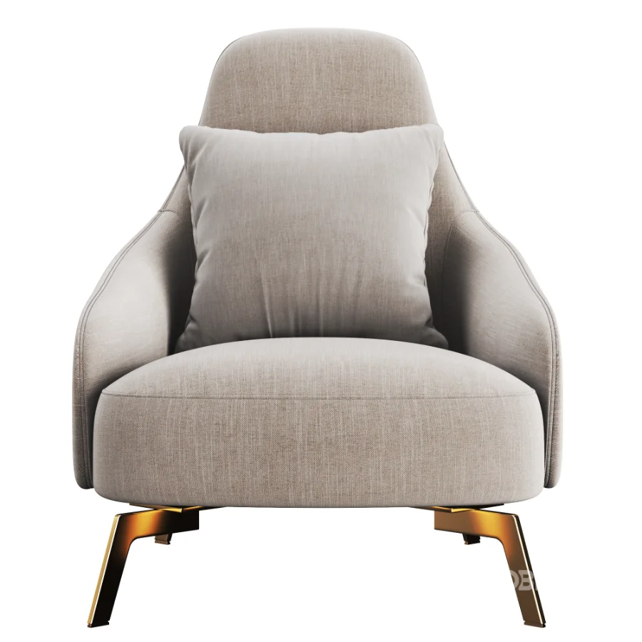Leolux_LX_Armchair Image 3