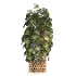 Boho Pot Plants 03 - Thumbnail 2