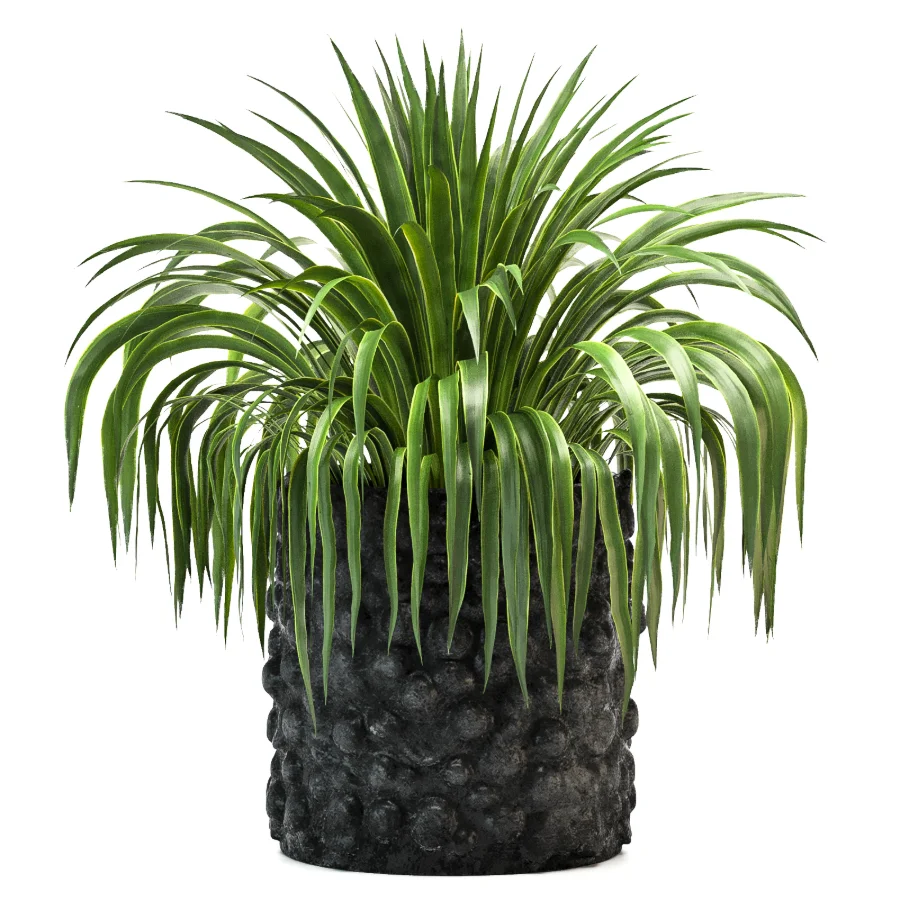 Concrete Pot Plant Set 08 Image 4