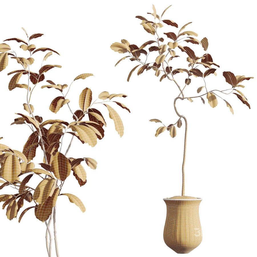 AV Indoor Plants Set 441 Areca Palm and Ficus Dracaena Marginata and Euphorbia Drupifera and Ravenala Banana Image 6