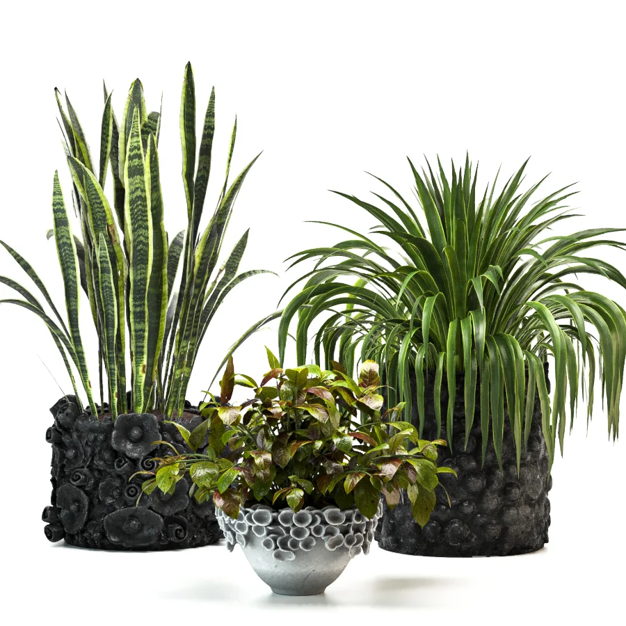Concrete Pot Plant Set 08 Image 5