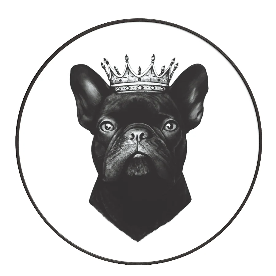 King French Bulldog Image 3