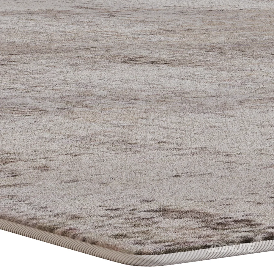 Carpet 01 Image 2