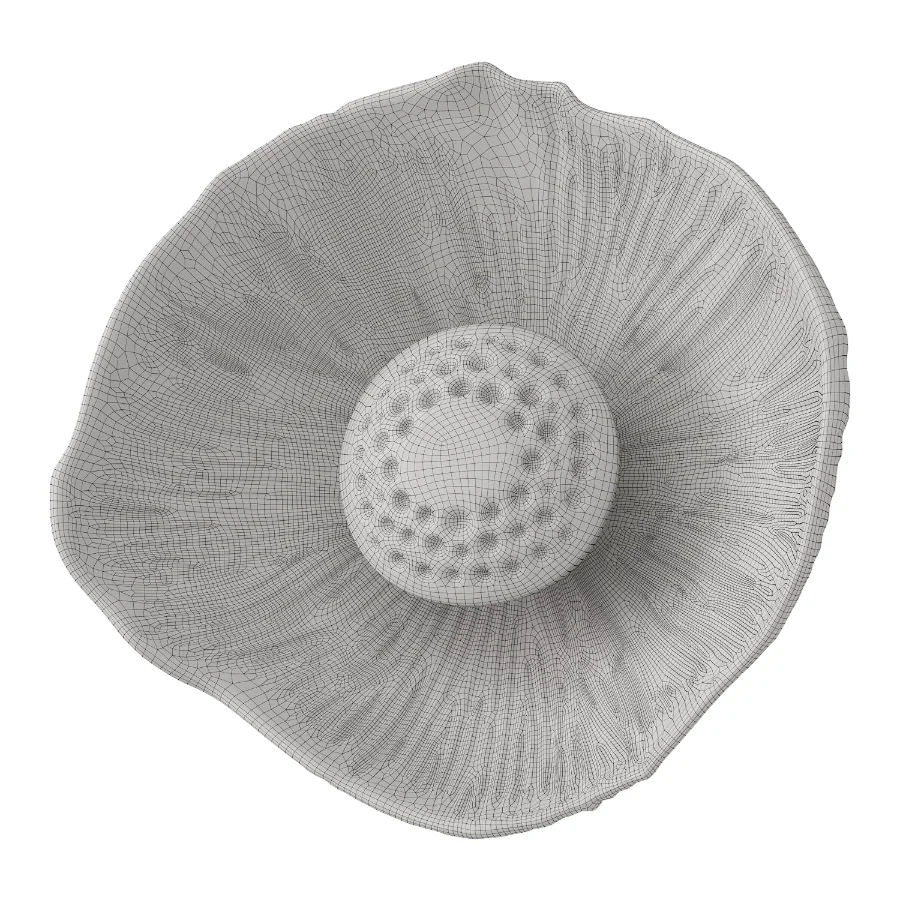 Blesslight sconce Image 5