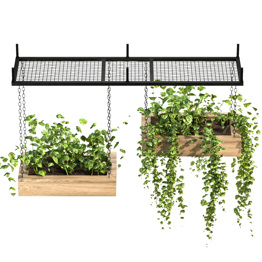 Hanging Plant 03 Image 3