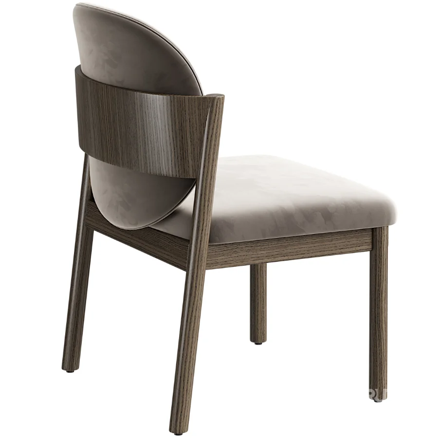 Caiton Dining Chair Image 4