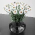 Decorative set 13 with flowers daisies - Thumbnail 4
