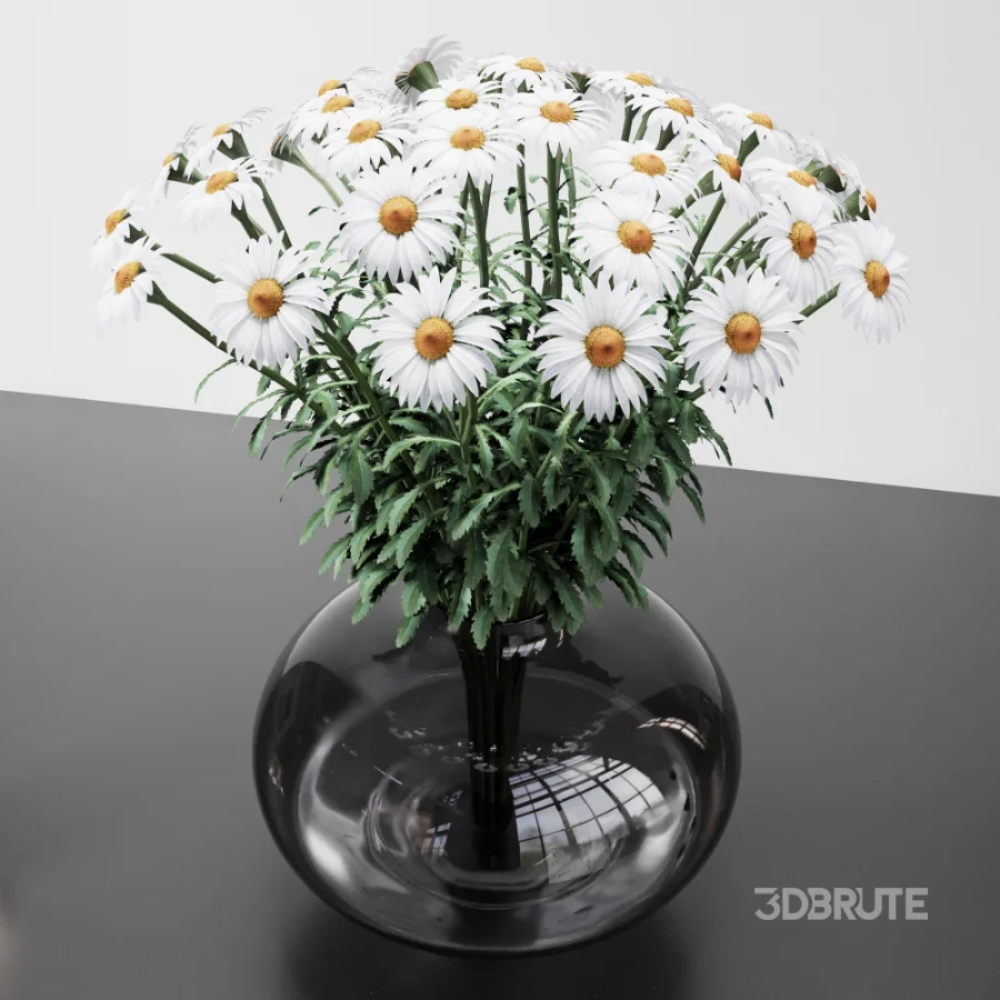 Decorative set 13 with flowers daisies Image 4