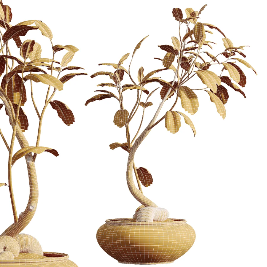 AV Indoor Plants Set 441 Areca Palm and Ficus Dracaena Marginata and Euphorbia Drupifera and Ravenala Banana Image 8