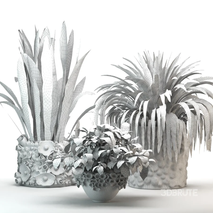 Concrete Pot Plant Set 08 Image 2