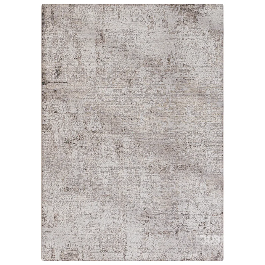 Carpet 01 Image 3