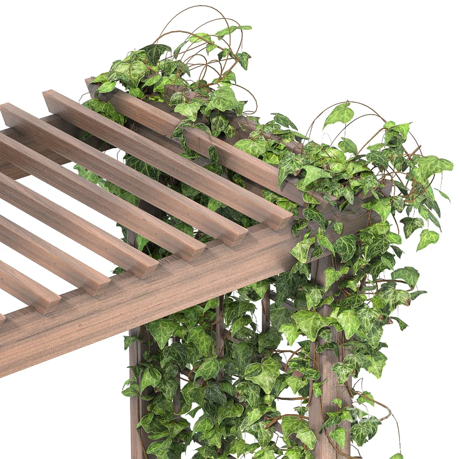 Wooden Garden Arbor 06 Image 4