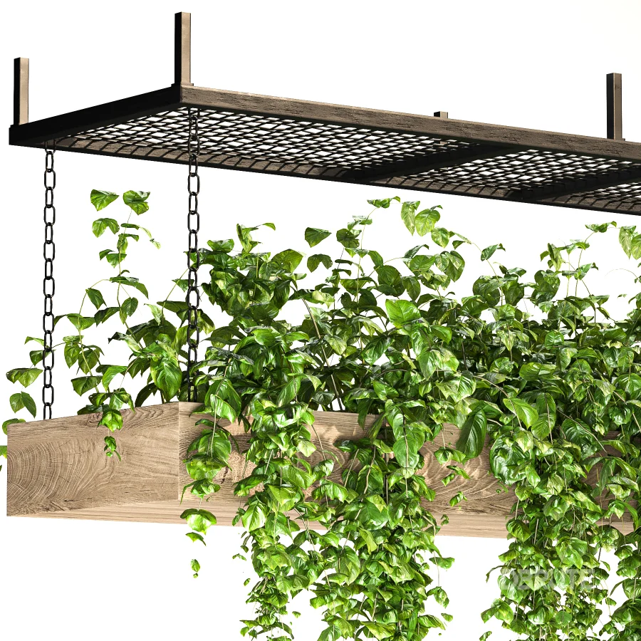 Hanging Plant 02 Image 5