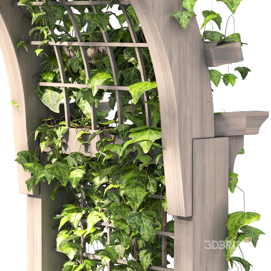 Wooden Garden Arbor 05 Image 7