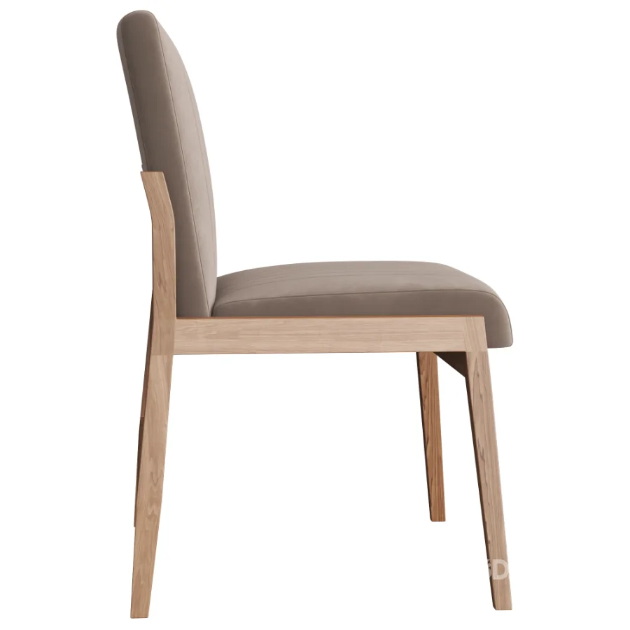 ALENA_DINING_CHAIR Image 3