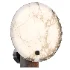 Wall Lamp - Thumbnail 1
