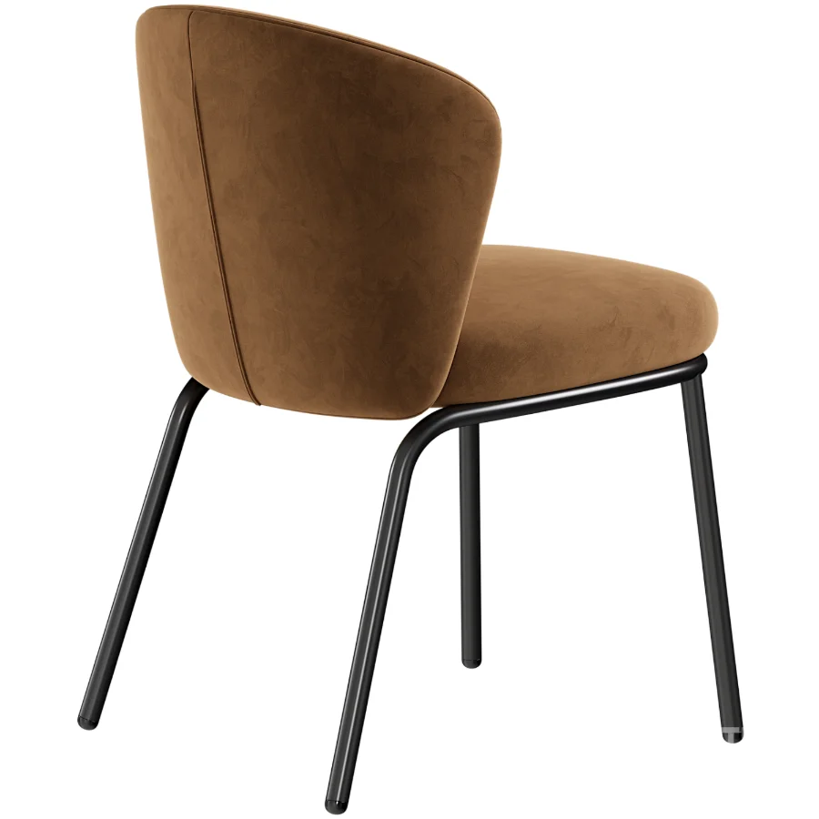 Campo Dining Chair Image 3
