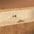 Kitchen 01 - Thumbnail 2