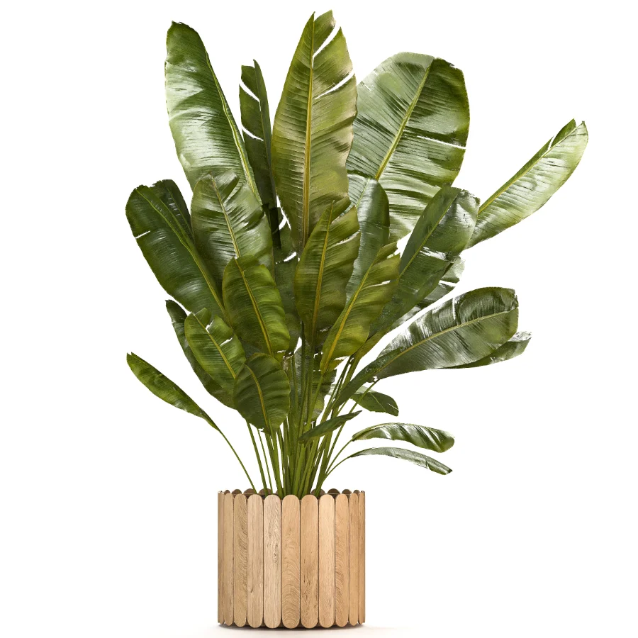 Boho Pot Plants 03 Image 4