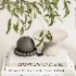Decorative set 52 - Thumbnail 1