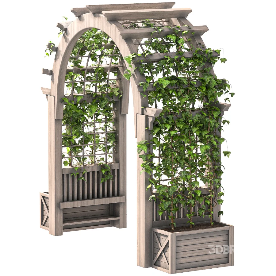 Wooden Garden Arbor 05 Image 6