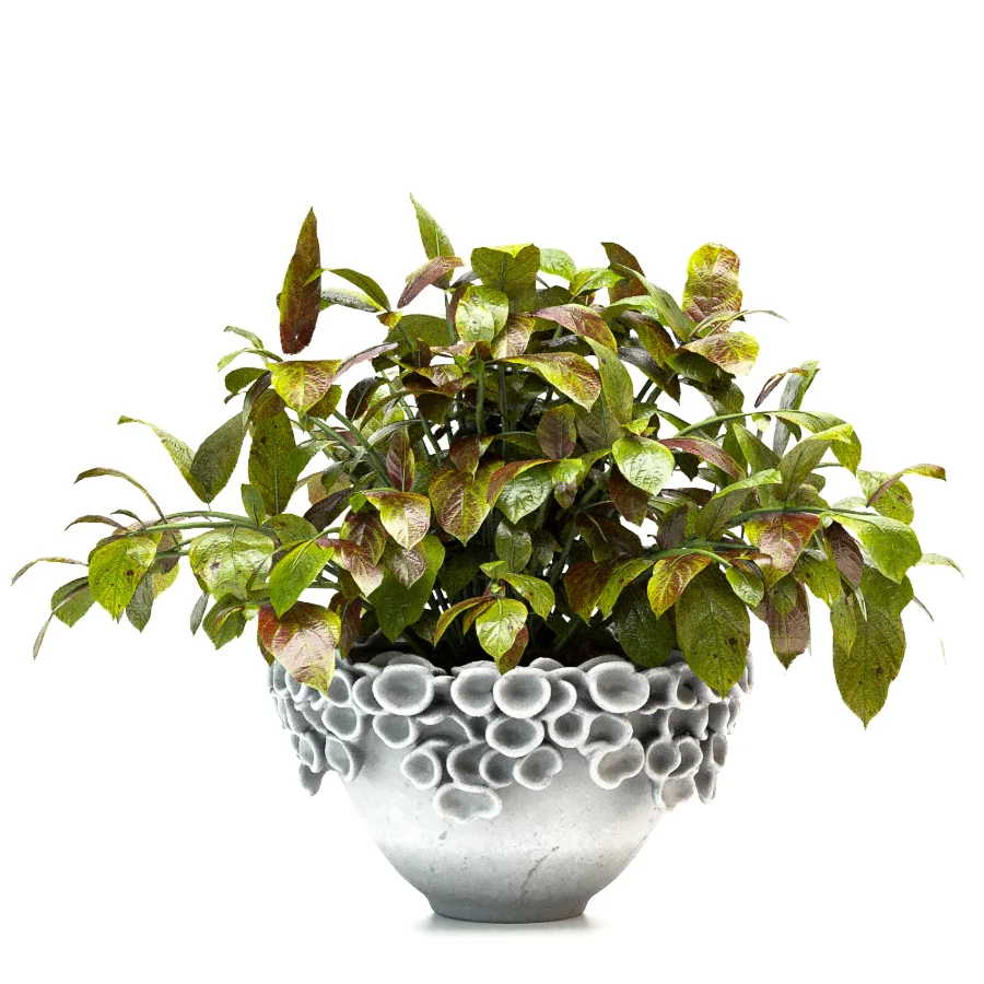 Concrete Pot Plant Set 08 Image 3