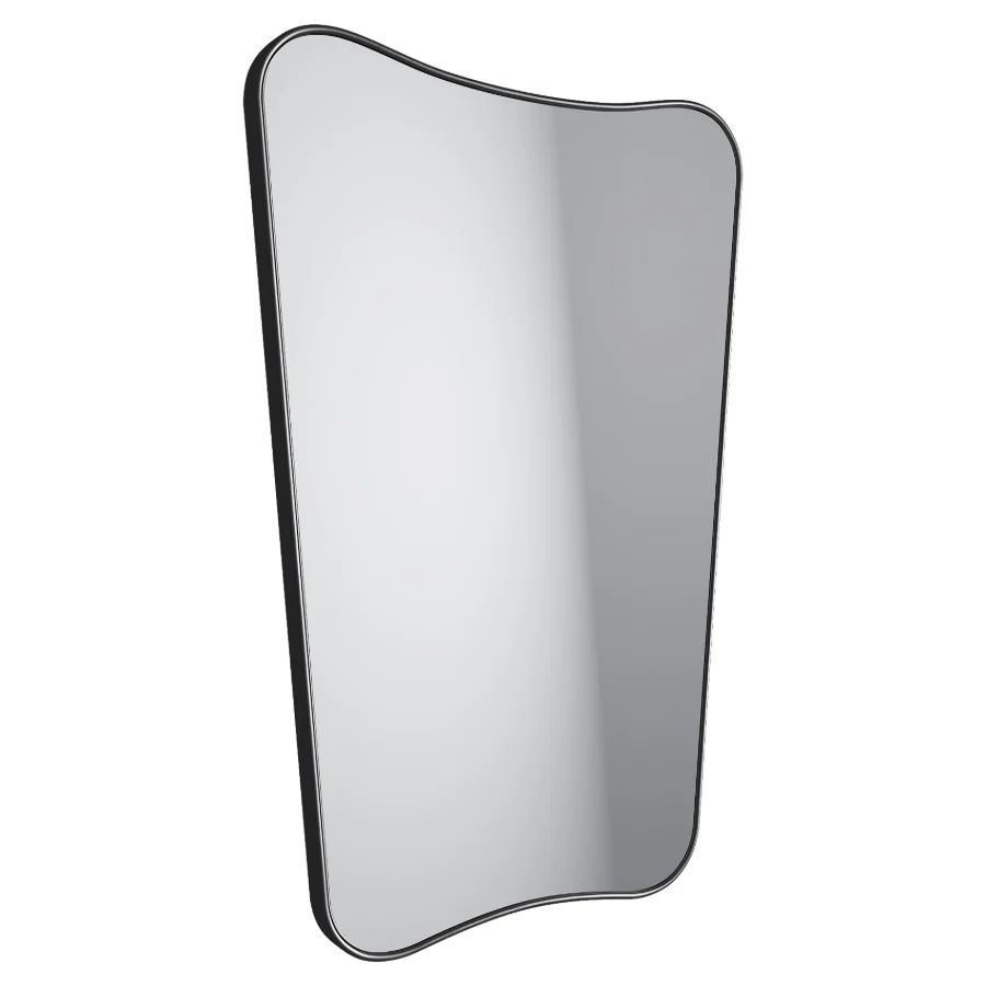 Butterfly Mirror Image 4