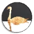 Swan Lake crescent moon - Thumbnail 1