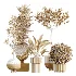 AV Indoor Plants Set 456 Wilsonii Chemlali Olive and Mission Olive Tree and Rhapis Lady Palm and Spathiphyllum Wallisii - Thumbnail 7