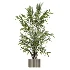 AV Indoor Plants Set 448 Areca Palm and Ravenala Banana and Europaea Olive Fig and Chemlali Olive and Olive Tree - Thumbnail 4