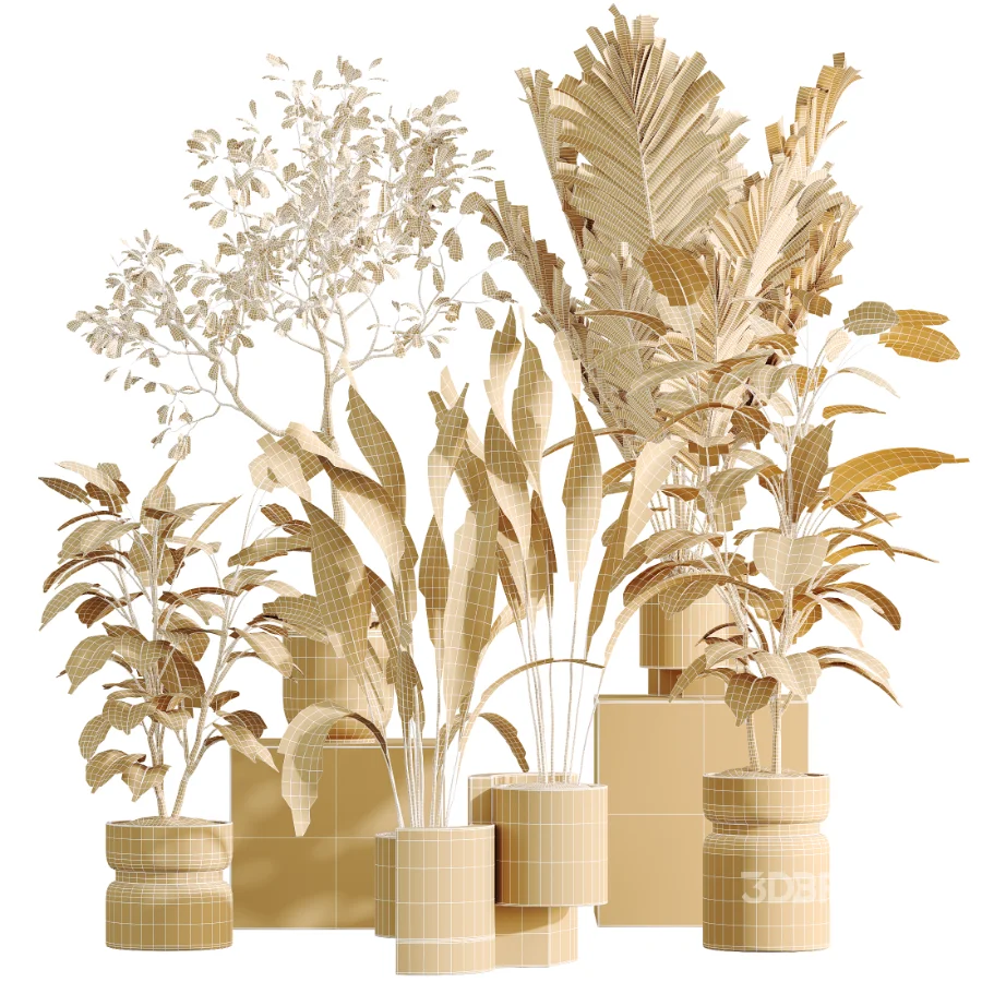 AV Indoor Plants Set 463 Ficus lyrata and Cyara Areca Palm and Aspidistra Elatio and Ficus Dracaena Marginata Image 7